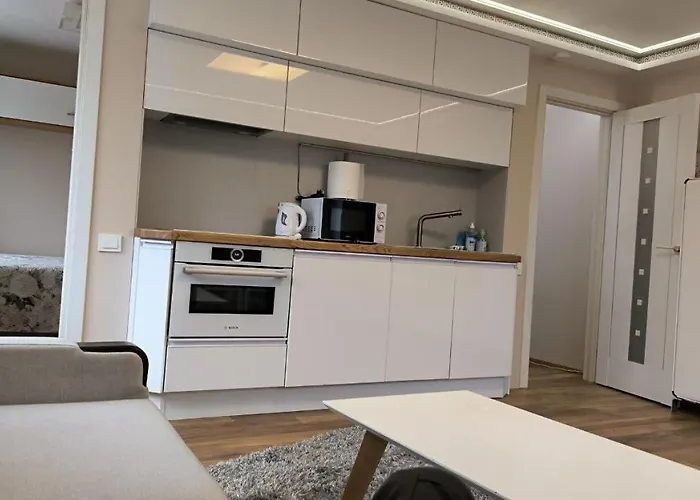 Border Aleksandri شقة نارفا