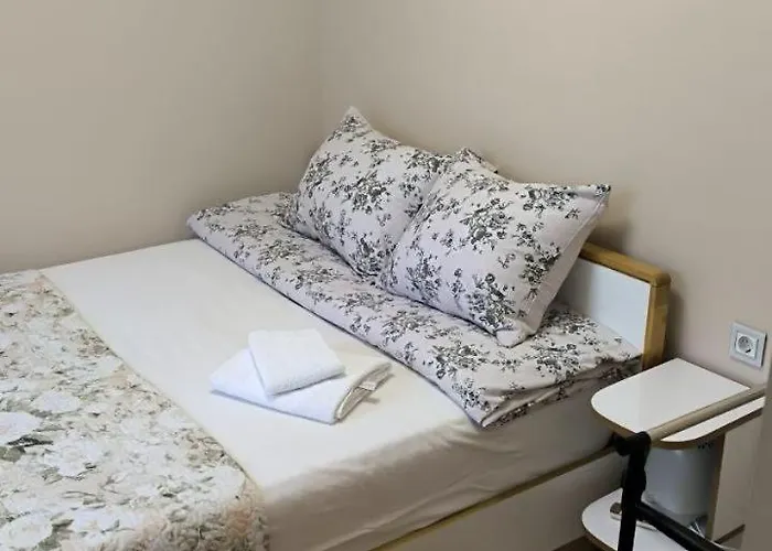 Border Aleksandri نارفا